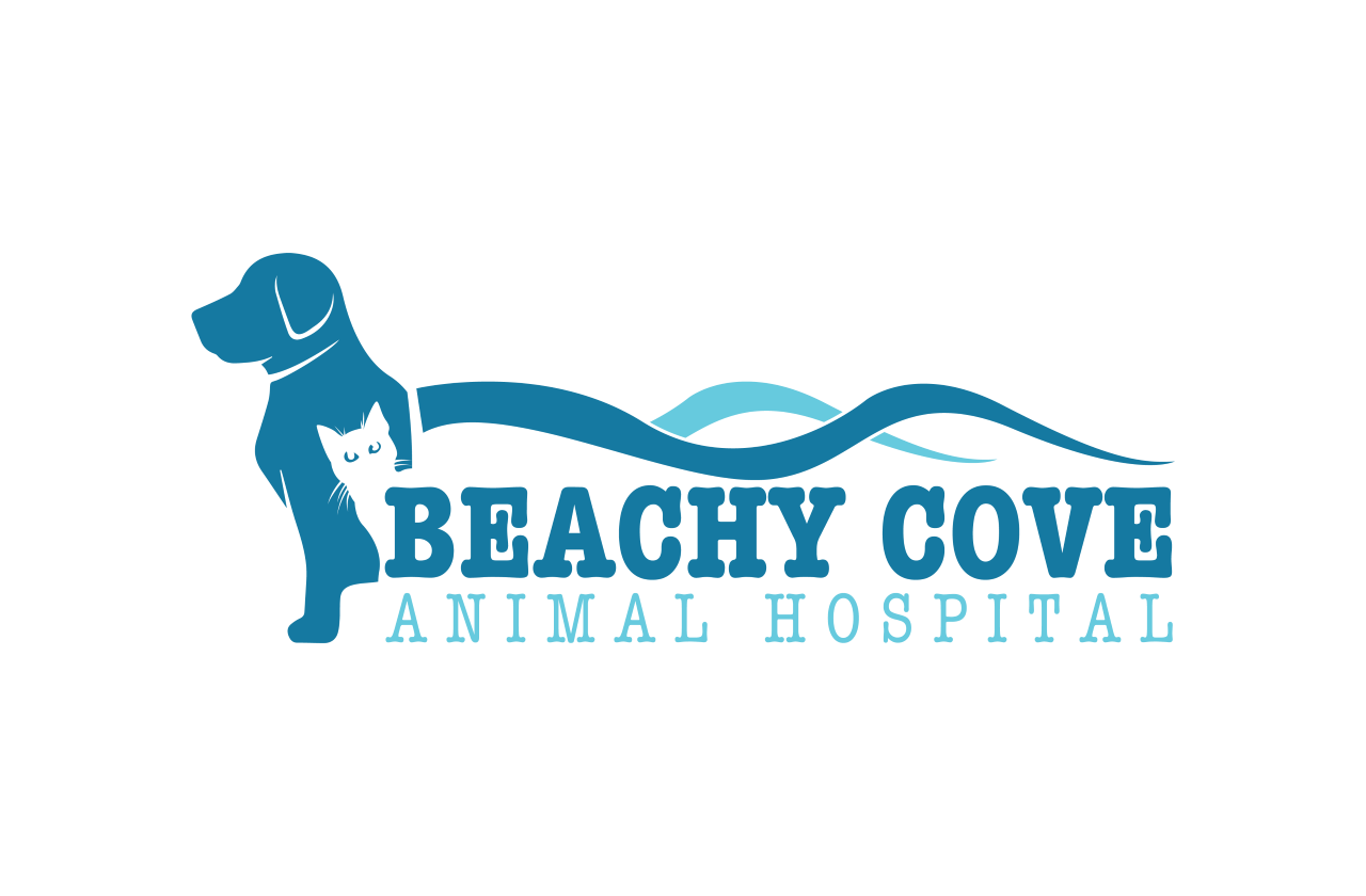 Beachy Cove Animal Hospital